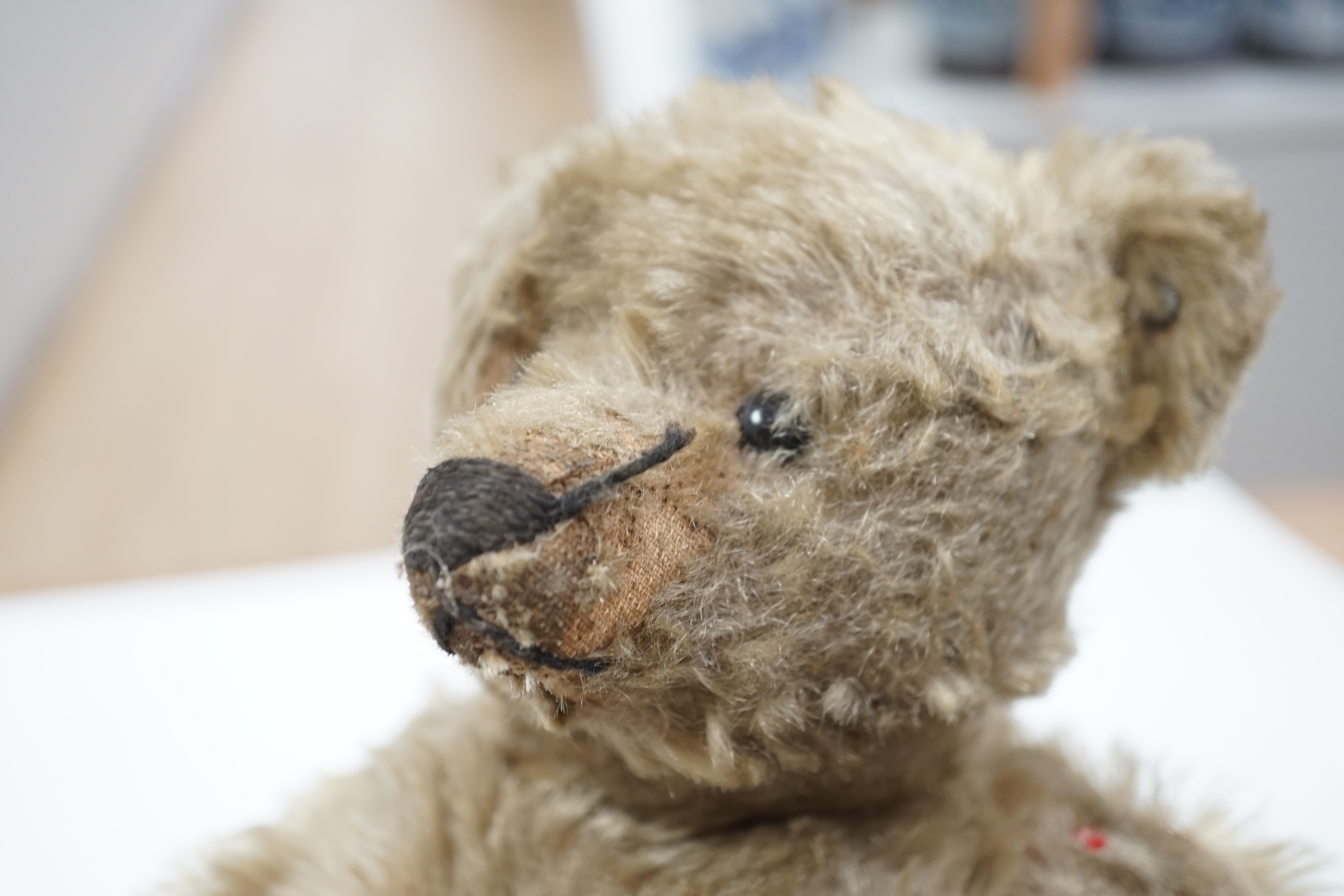 A Steiff teddy bear with button in ear, circa 1910, 35cm